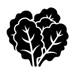 Illustration of fresh lettuce, a healthy and nutritious leafy green vegetable