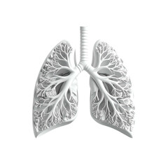 Detailed white illustration of human lungs with intricate branching airways on a black background