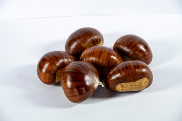 Chestnuts isolated on white background
