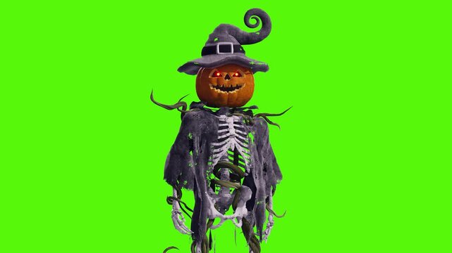 Funny pumpkin Jack-o'-lantern with skeleton body in old torn robe waving on green screen. Halloween 3D animation for greeting cards, invitations, posters, events, parties