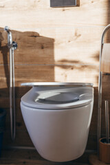 Hanging toilet with soft closing toilet seat lid hinge.