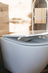 Hanging toilet with soft closing toilet seat lid hinge.