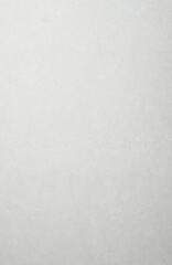 Fototapeta premium Subtle texture of rough grey paper surface. Light texture background has a slightly grainy feel. Neutral backdrop suitable for graphic design elements.