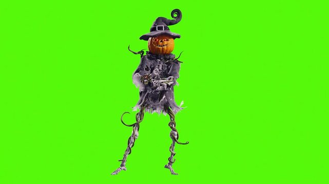 Funny pumpkin Jack-o'-lantern with skeleton body in old torn robe dancing on green screen. Halloween 3D animation for greeting cards, invitations, posters, events, parties