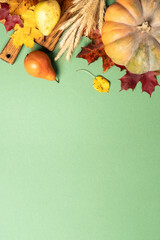 Pumpkin, fruits, spikelets and fallen leaves on color background.