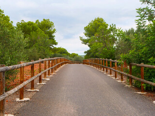 winding pathway bordered by wooden railings leads through vibrant green landscape. scene invites visitors to take leisurely stroll in serene natural setting on cloudy day