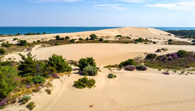 A scenic aerial view of a coastal landscape featuring a large sand dune, turquoise sea, and scattered vegetation. The scene is bright