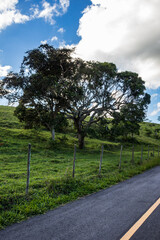 Landscape, Imbé, Campos dos Goytacazes, RJ, Brazil