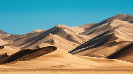 Vast desert landscape with undulating sand dunes in bright sunshine