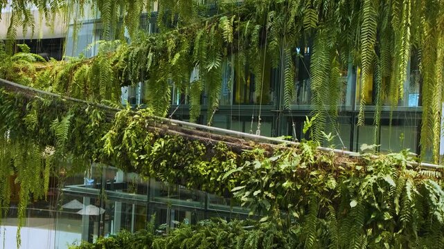 Hanging spiral garden with glass elevator and escalators inside glass atrium of modern shopping mall in Bangkok city, Thailand. Sustainable interior architecture. Biophilic architecture in retail