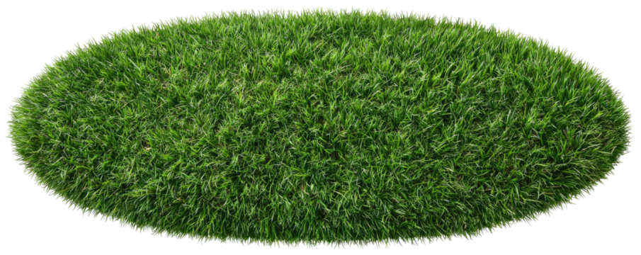 Oval-shaped, dense green grass texture