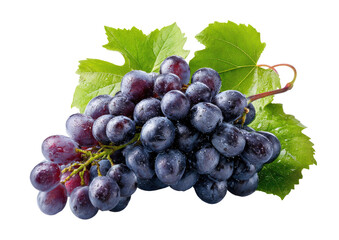 Fototapeta premium Close-up of a bunch of dark purple grapes with leaves (1)