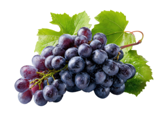 Close-up of a bunch of dark purple grapes with leaves (1)