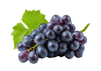 Fototapeta premium Close-up of a bunch of dark purple grapes with leaves