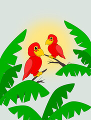 Two parrots sitting on separate branches, between palm leaves.
