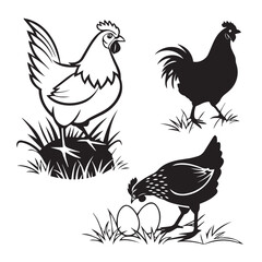 Fototapeta premium vector illustration of a rooster