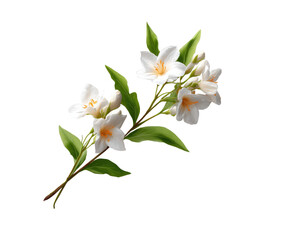 Obraz premium Close-up of a delicate white flower branch. Soft, detailed illustration of blossoms and leaves. Elegant, spring-like image