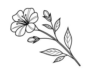 Elegant Floral Line Art Illustration of Blooming Flower Branch with Leaves and Buds Isolated on White Background for Coloring Pages and Graphic Design