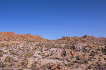 Joshua Tree National Park Landscape Mojave Desert Scenery, Blue Sky, Rocks, and Arid Wilderness, California Nature Travel Background, Mountains