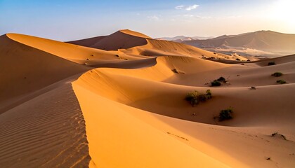 A vast, undulating expanse of sand dunes, bathed in the warm glow of sunrise. The ridges create a textured landscape, with sparse vegetation. Mountains appear in the distance