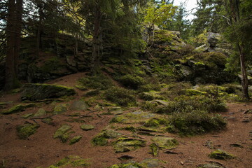 Rock formation at "Kralovsky kamen" over Javornik, South Bohemian Region, Czech Republic, Europe
