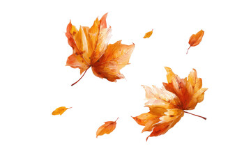 Autumn leaves swirling in the air.  Vibrant orange and yellow maple leaves, digitally painted, against a black background.  Loose, airy brushstrokes suggest wind