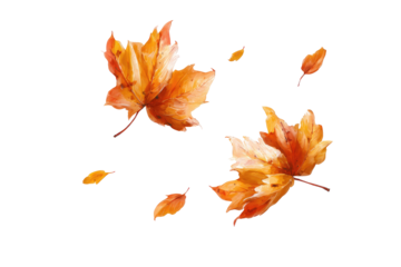 Autumn leaves swirling in the air.  Vibrant orange and yellow maple leaves, digitally painted, against a black background.  Loose, airy brushstrokes suggest wind