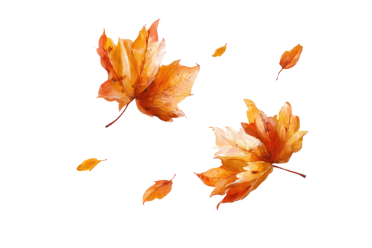 Autumn leaves swirling in the air.  Vibrant orange and yellow maple leaves, digitally painted, against a black background.  Loose, airy brushstrokes suggest wind