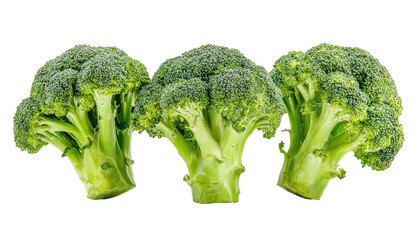 Three fresh broccoli florets arranged horizontally.  Bright green color.  Close-up view.  Isolated on black background