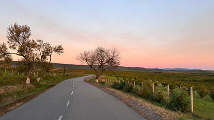  Scenic countryside road curving through green fields at sunset. Peaceful travel landscape with soft pink sky, rural nature, and adventure vibes perfect for travel, freedom, and lifestyle themes. High
