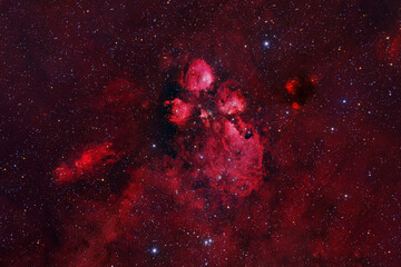 Beautiful red galaxy. Elements of this image furnished by NASA © Artsiom P