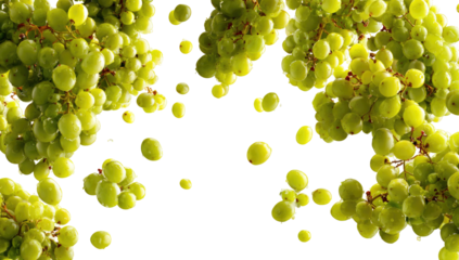 Green grapes in mid-air, scattered.  Clusters of grapes with individual berries highlighted in a yellow outline against a black background.  Fresh, vibrant, and appetizing