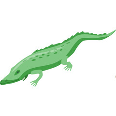 Pale Green Alligator In A Stylized Isometric Perspective Floating On A White Background With A Transparent Background Ready For Design Use And Graphic Creation