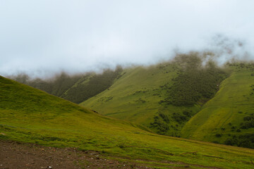 Fog covering green mountain slopes in summer