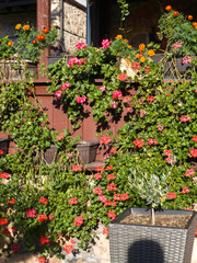 Medieval Temski monastery Saint George, Serbia