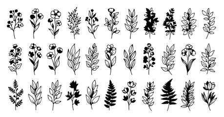 Elegant botanical elements for your next design project, featuring delicate leaves, flowers, and branches ideal for invitations, logos, or patterns