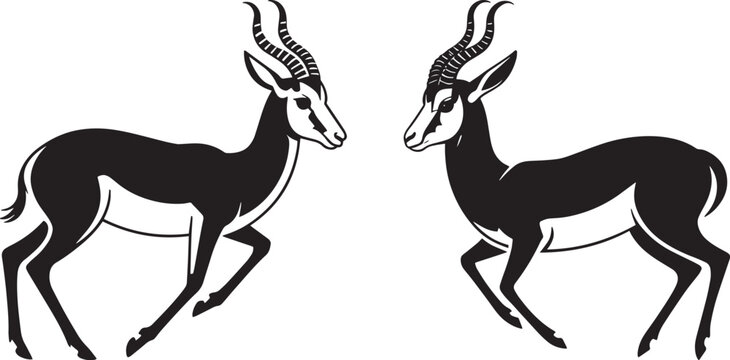 Pair of Springbok Antelopes Black Silhouette Vector Illustration African Wildlife Graceful Animal