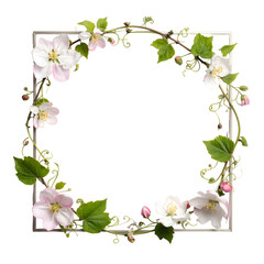 Delicate flowering vine encircles a square frame against black.