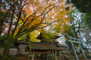 寺の紅葉（大分県竹田市）