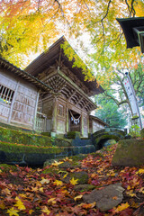 寺の紅葉（大分県竹田市）