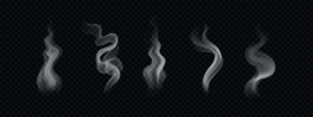 Various steam and hot smoke from food and coffee. Realistic vector illustration of bbq vapor isolated on transparent backdrop