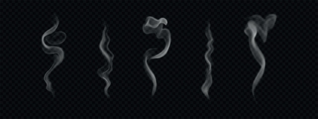 Vector hot smoke, bbq fog, coffee and food haze. Wavy and swirl white steam isolated on transparent background