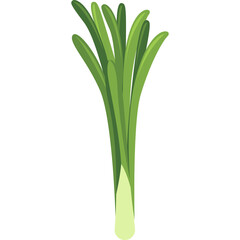 Fresh Green Onions with Long Stems on a Transparent Background Isolated Healthy Vegetable Ingredient for Cooking Culinary Use