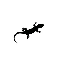 Obraz premium Minimalist black silhouette of a gecko, a common lizard reptile, presented as a flat graphic icon. This simple vector illustration represents nature and wildlife