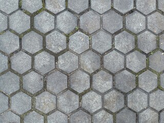 A close-up view of hexagonal grey paving stones with green moss and dirt filling the joints, creating a textured pattern. Concept of: Geometric paving.
