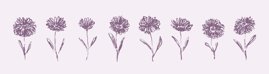 Delicate sketch textured muted purple flowers. Elegant outline ink brush hand drawing floral elements for women poster and feminine greeting card design, banner, logo, sticker