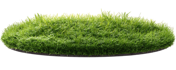 Circular piece of artificial grass