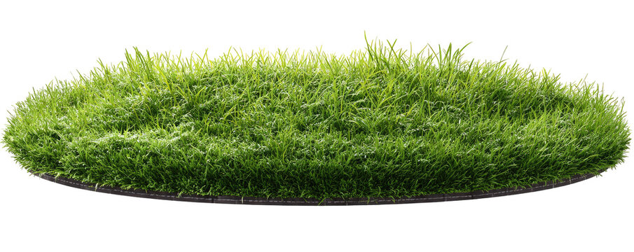Circular piece of artificial grass