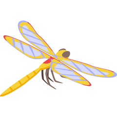 Isolated Yellow Dragonfly Insect with Translucent Blue and White Patterned Wings and Red Accents in Flight Against a White Background Vector Art