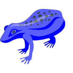 Vibrant Blue Frog Illustration on White Background with Spotted Back and Detailed Features